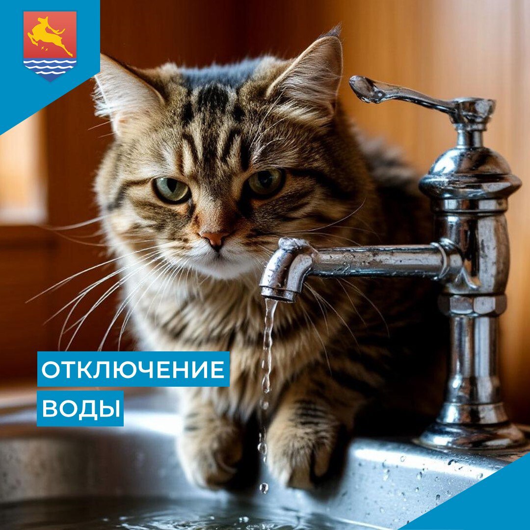 МУП «Водоканал» сообщает, что в связи с производством аварийных ремонтно-восстановительных работ 7 ноября с 9:30 до 13:30 отключат холодное водоснабжение на улице Якутской, 69В и в переулке Марчеканском, 5