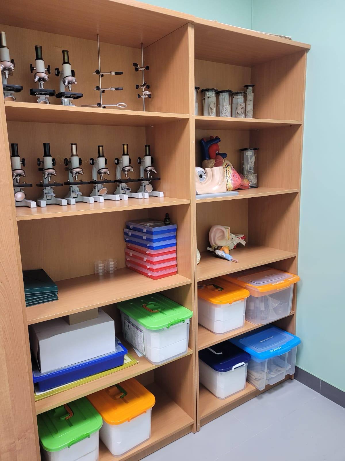 Сергей Носов: Во взаимодействии с Министерством просвещения РФ по государственной программе «Развитие образования» капитально реконструировали школу в Ягодном Сергей Носов: Во взаимодействии с Министерством просвещения РФ по государственной программе «Развитие образования» капитально реконструировали школу в Ягодном