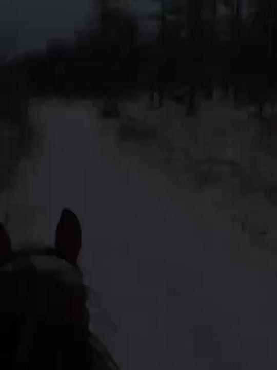 Магаданцы устраивают конные прогулки по свежему снегу