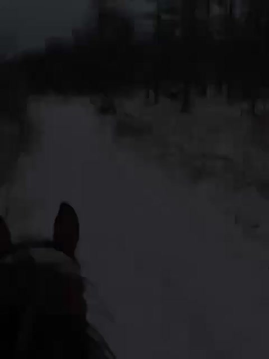 Магаданцы устраивают конные прогулки по свежему снегу