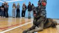 От инспектора-кинолога ЦКС ОМВД России по городу Магадану Екатерины Несмияновой молодые люди узнали, что собаки выполняют самые различные задачи – от нахождения похищенных вещей до поиска взрывчатых или наркотических веществ