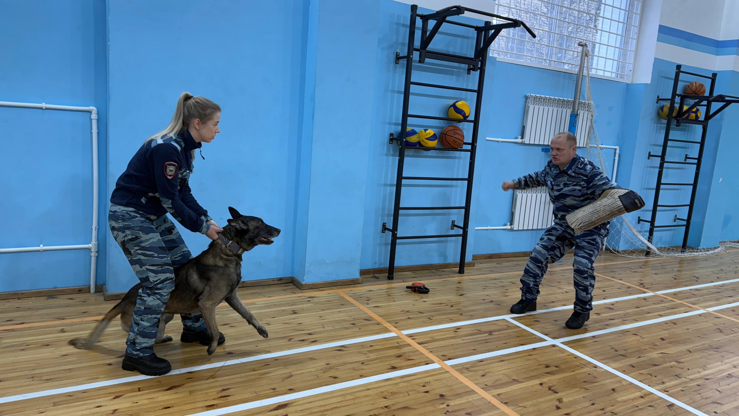 От инспектора-кинолога ЦКС ОМВД России по городу Магадану Екатерины Несмияновой молодые люди узнали, что собаки выполняют самые различные задачи – от нахождения похищенных вещей до поиска взрывчатых или наркотических веществ От инспектора-кинолога ЦКС ОМВД России по городу Магадану Екатерины Несмияновой молодые люди узнали, что собаки выполняют самые различные задачи – от нахождения похищенных вещей до поиска взрывчатых или наркотических веществ