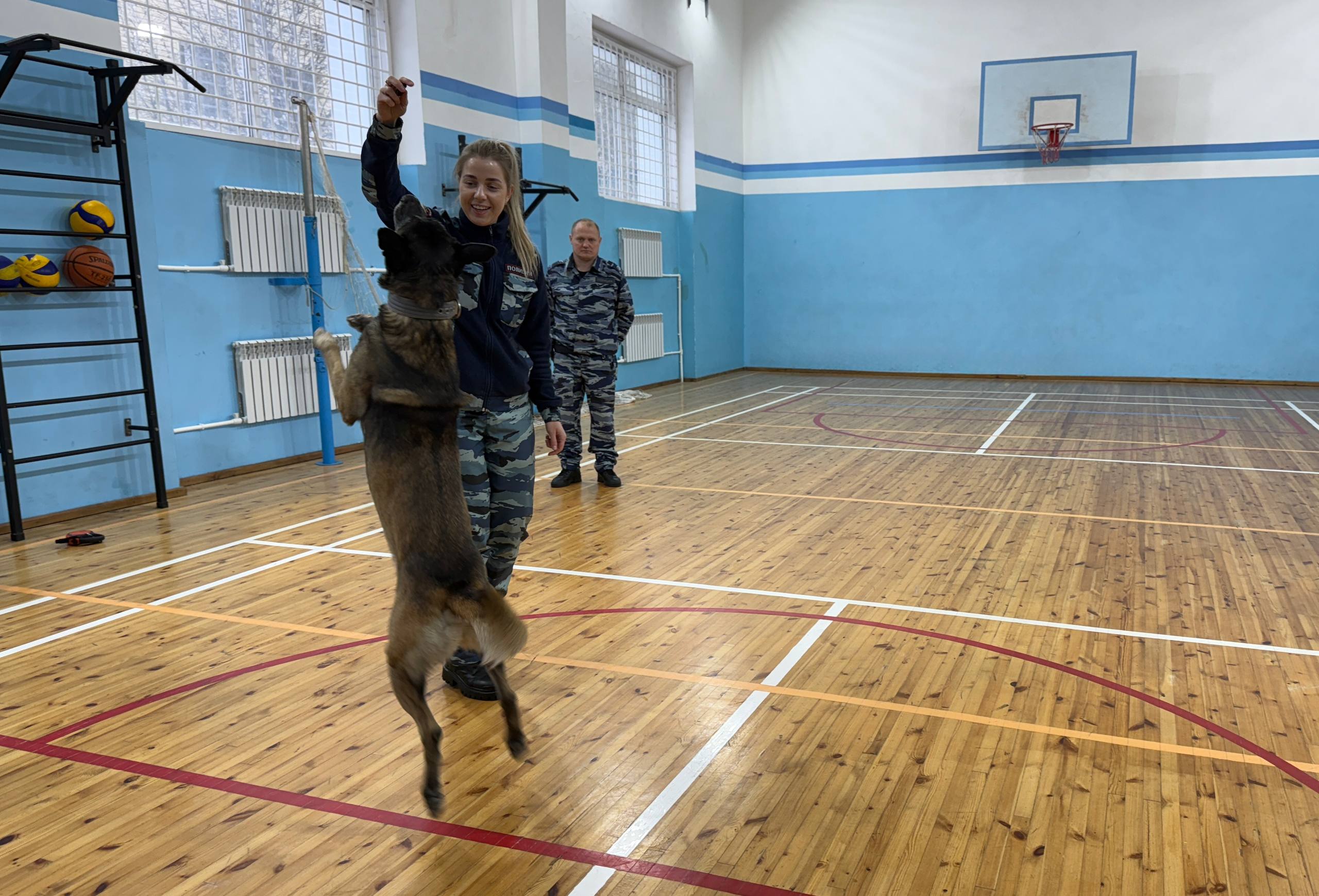 От инспектора-кинолога ЦКС ОМВД России по городу Магадану Екатерины Несмияновой молодые люди узнали, что собаки выполняют самые различные задачи – от нахождения похищенных вещей до поиска взрывчатых или наркотических веществ От инспектора-кинолога ЦКС ОМВД России по городу Магадану Екатерины Несмияновой молодые люди узнали, что собаки выполняют самые различные задачи – от нахождения похищенных вещей до поиска взрывчатых или наркотических веществ