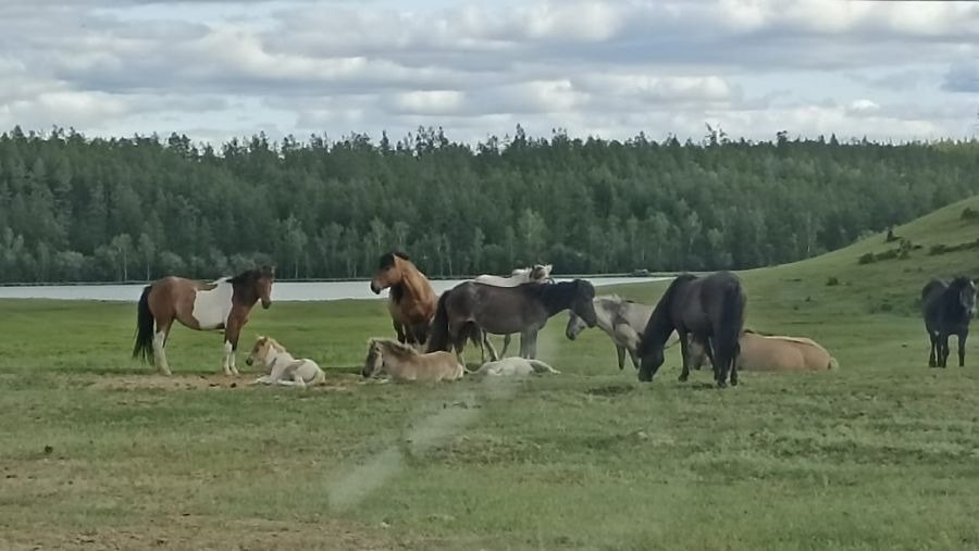 Магаданцы отправились на своем авто в незабываемое путешествие по Якутии Магаданцы отправились на своем авто в незабываемое путешествие по Якутии