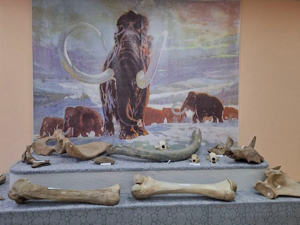 Сеймчанский краеведческий музей готовится к открытию на новом месте Сеймчанский краеведческий музей готовится к открытию на новом месте