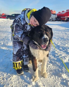 Неравнодушные колымчане спасают брошенных хвостатых и вы можете помочь прямо сейчас