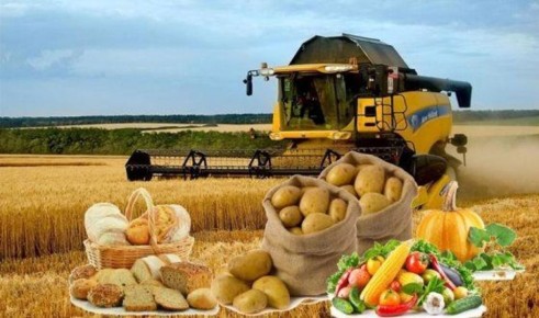 Казахстан отмечает рост производства пшеничной муки на 6,5%