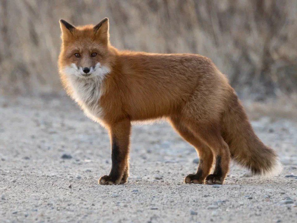 В Магадане -9