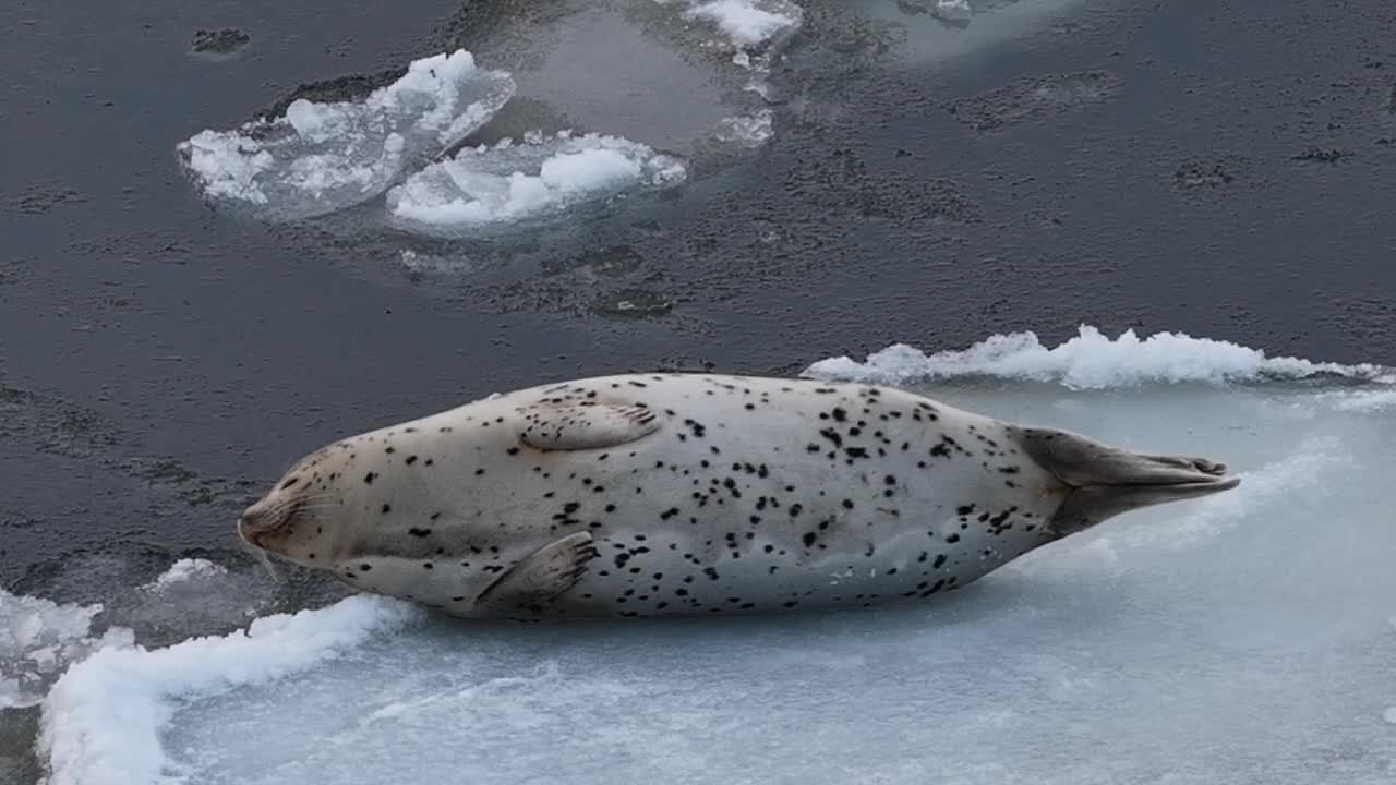 В понедельник, 17 ноября, в Магаданской области в основном ясно