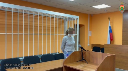 Жительница Амурской области оштрафована за публичное оправдание терроризма в социальных сетях