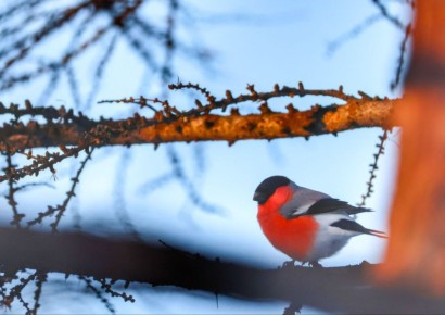 Во вторник, 18 ноября, в Магаданской области в основном ясно