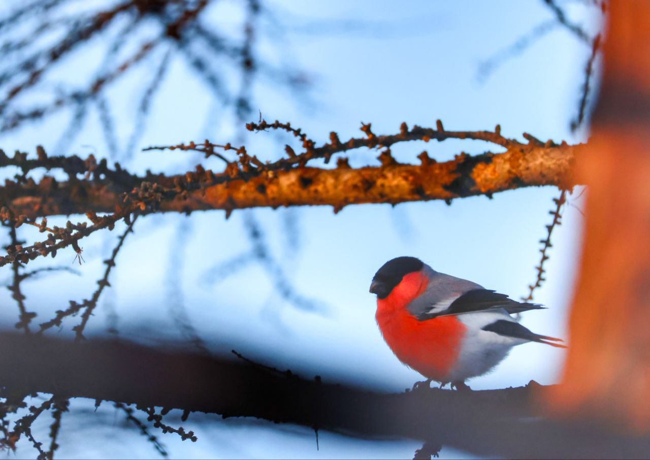 Во вторник, 18 ноября, в Магаданской области в основном ясно