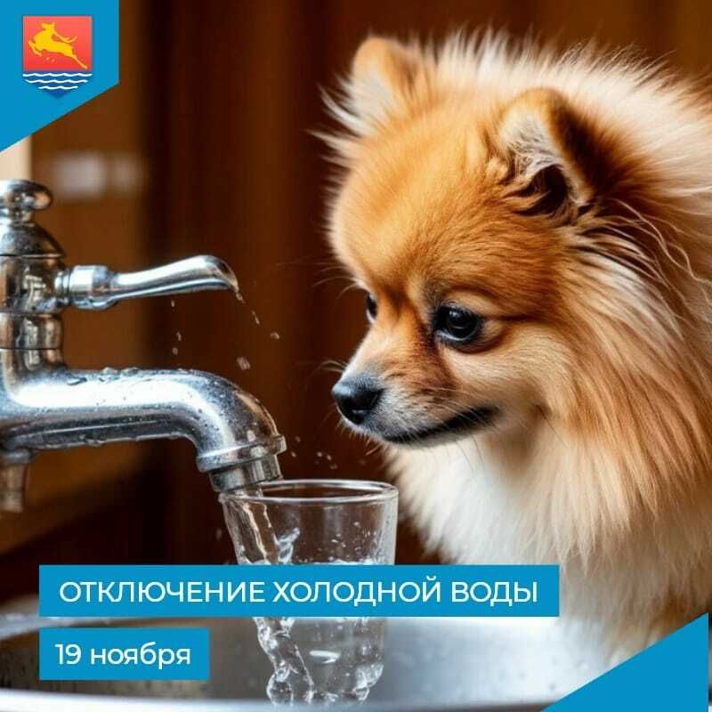 МУП «Водоканал» сообщает, что в связи с производством аварийных ремонтно-восстановительных работ 19 ноября с 9:30 до 13:30 отключат холодное водоснабжение по следующим адресам: