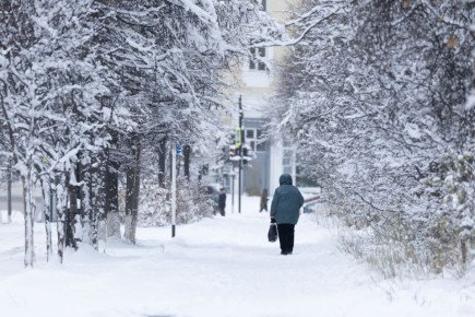 Систему долговременного ухода за пожилыми и инвалидами развивают в Магаданской области