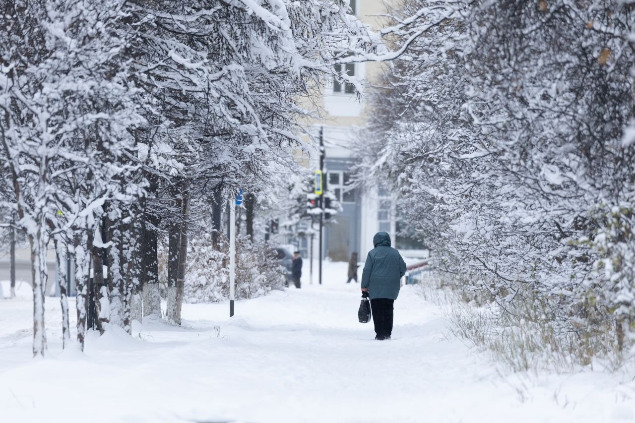 Систему долговременного ухода за пожилыми и инвалидами развивают в Магаданской области