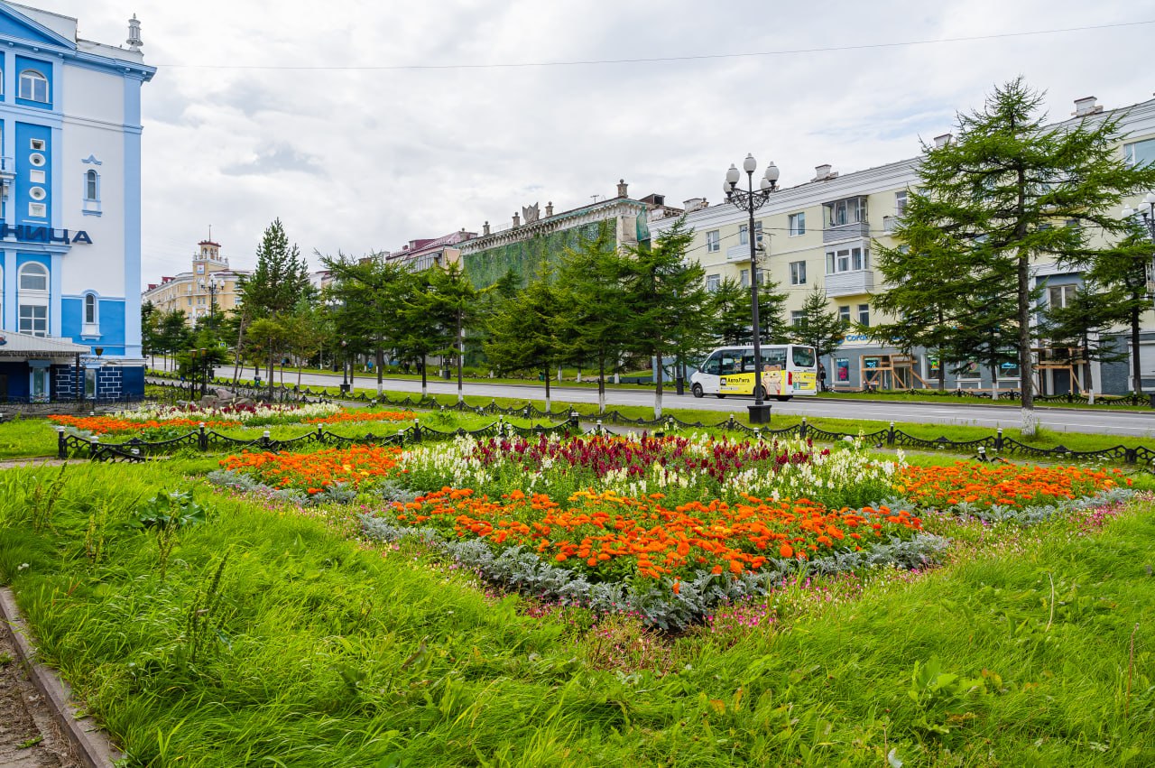 Лариса Поликанова: Более 1,5 тысячи кустарников, свыше 350 деревьев и 180 тысяч цветов украсили Магадан в сезоне благоустройства 2025 года Лариса Поликанова: Более 1,5 тысячи кустарников, свыше 350 деревьев и 180 тысяч цветов украсили Магадан в сезоне благоустройства 2025 года