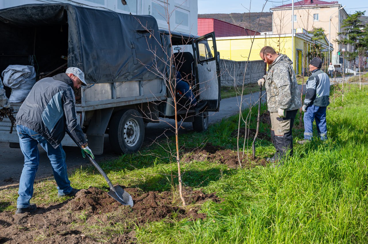 Лариса Поликанова: Более 1,5 тысячи кустарников, свыше 350 деревьев и 180 тысяч цветов украсили Магадан в сезоне благоустройства 2025 года Лариса Поликанова: Более 1,5 тысячи кустарников, свыше 350 деревьев и 180 тысяч цветов украсили Магадан в сезоне благоустройства 2025 года