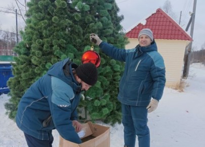 Новогодние елочки вырастают по всей Магаданской области