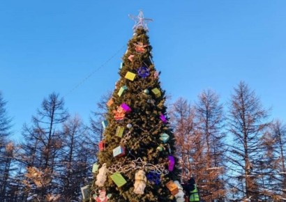 Первые новогодние елки уже украшают разные районы Магадана