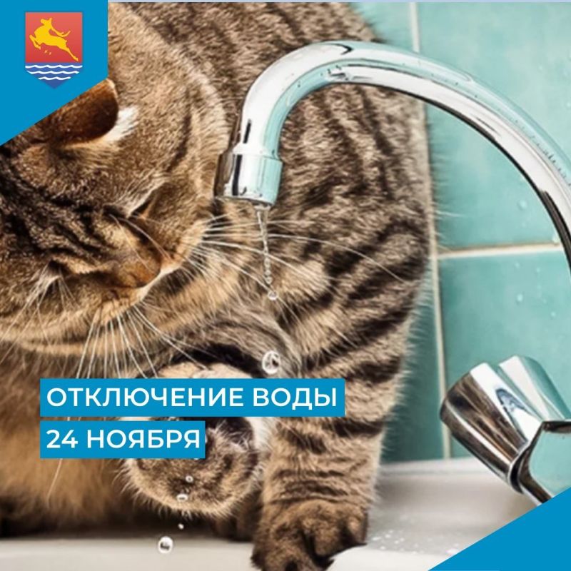 МУП «Водоканал» сообщает, что в связи с производством неотложных ремонтных работ в понедельник, 24 ноября с 9:30 до 13:30 отключат холодное водоснабжение в микрорайоне Новая Веселая