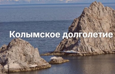 Теперь подробная информация о противодействии интернет-мошенникам доступна на сайте «Колымского долголетия»