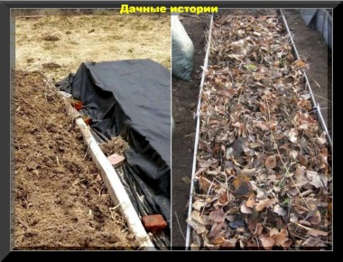 Как осень формирует основы богатого урожая: секреты успешных садоводов