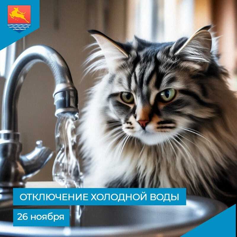 МУП «Водоканал» сообщает, что в связи с производством неотложных ремонтно-восстановительных работ 26 ноября с 9:30 до 13:30 отключат холодное водоснабжение в домах № 59 корпус 2, 61 корпус 2, 3 на улице Речной