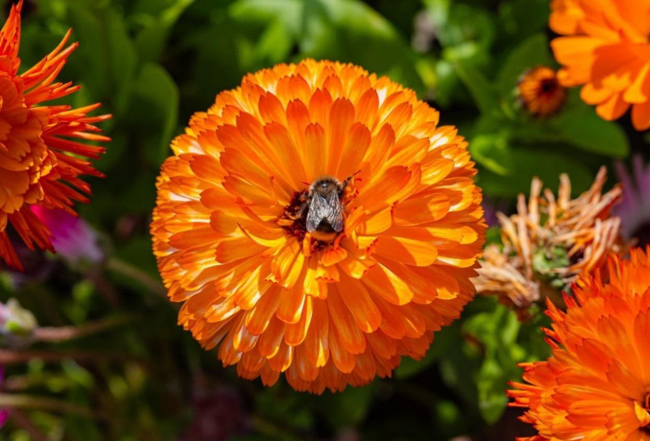 Руслан Кравченко: В нашем северном Магадане очень зелено для средних показателей по России