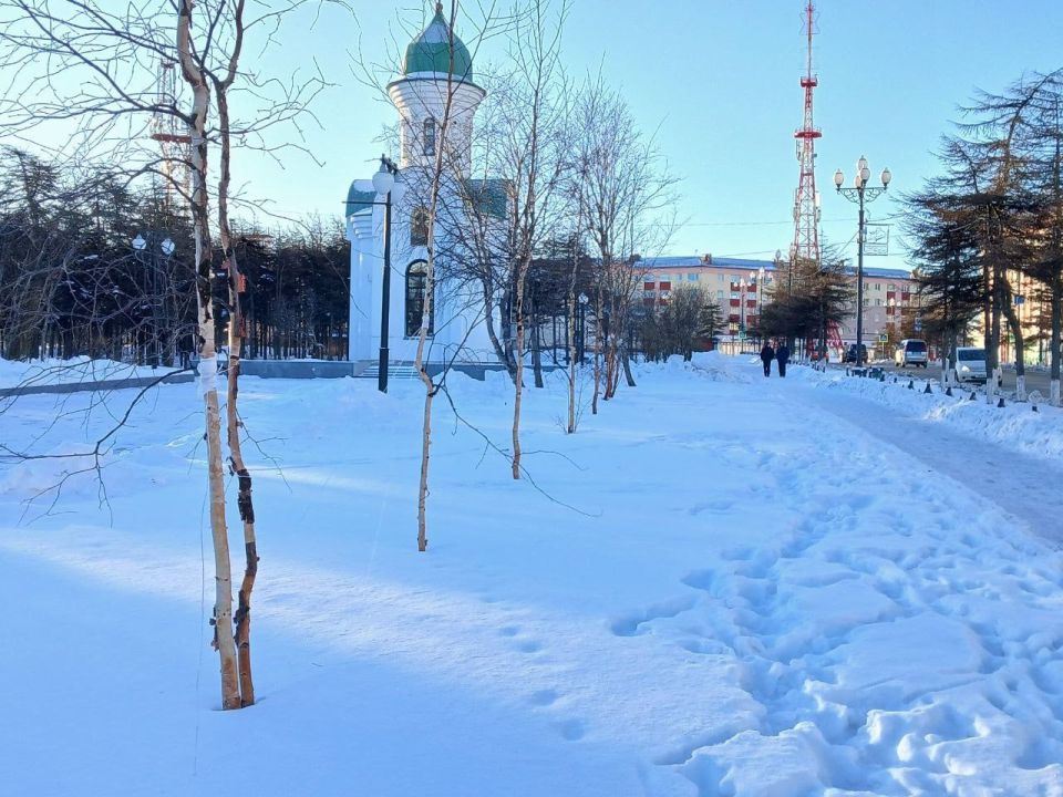 Молодые деревья украсят магаданскую Аллею Памяти