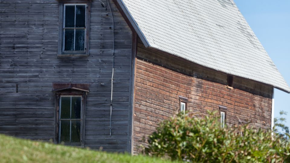 Соседские интриги: как отсутствие привело к кражам