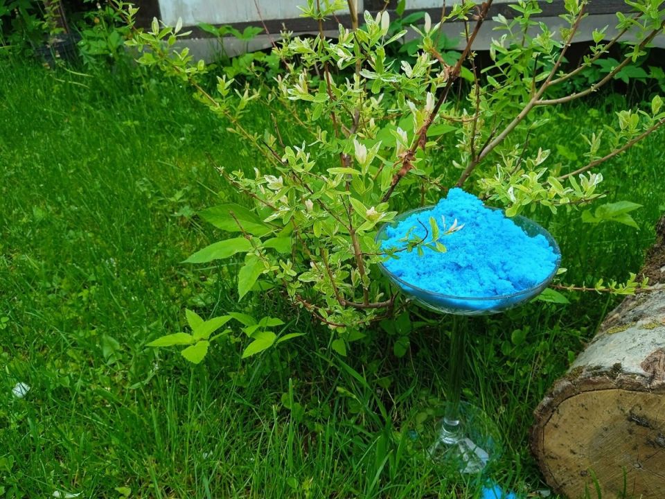 Как медный и железный купорос могут изменить ваш осенний сад