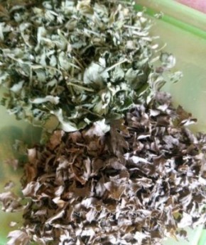 Как сохранить яркий зелёный цвет зелени при сушке: секреты и рекомендации