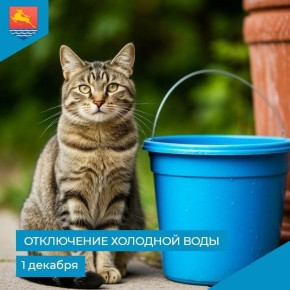 МУП «Водоканал» сообщает, что в связи с производством аварийных ремонтно-восстановительных работ 1 декабря с 9:30 до 13:30 отключат холодное водоснабжение по следующим адресам: