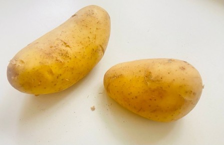 Ленивая картошка: секреты урожая без лишних усилий