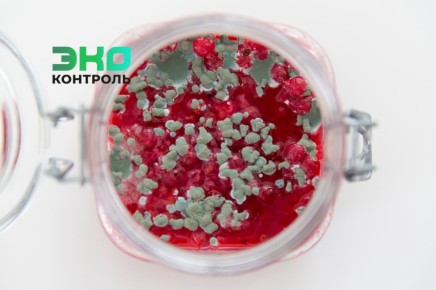 Что делать с плесенью на варенье: советы экспертов