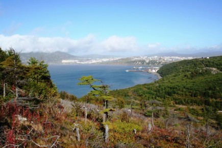 С 1 по 7 декабря Минздрав РФ проводит неделю борьбы со СПИДом и информирования о венерических заболеваниях, в рамках нацпроекта «Продолжительная и активная жизнь»