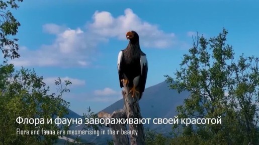 3 декабря 1953 г. Указом Президиума Верховного Совета СССР образована Магаданская область