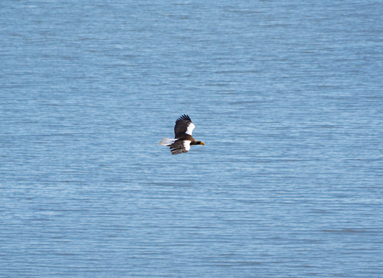 Лариса Поликанова: Сегодня мы отмечаем 72ю годовщину образования Магаданской области — места, где суровая природа щедро дарит сокровища, а сердца людей всегда открыты для добра и взаимопомощи Лариса Поликанова: Сегодня мы отмечаем 72ю годовщину образования Магаданской области — места, где суровая природа щедро дарит сокровища, а сердца людей всегда открыты для добра и взаимопомощи