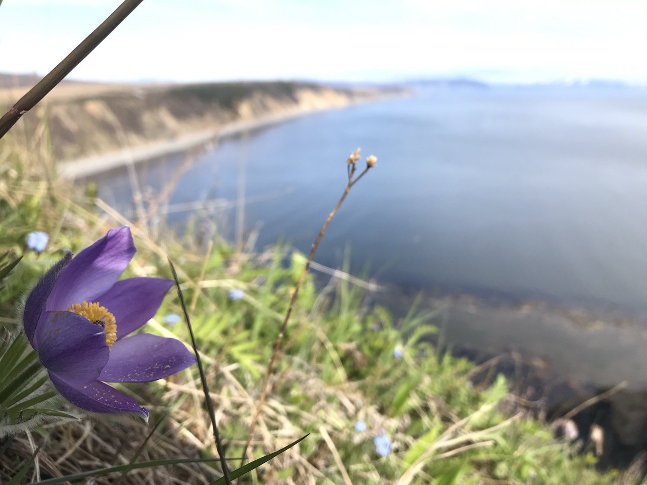 Лариса Поликанова: Сегодня мы отмечаем 72ю годовщину образования Магаданской области — места, где суровая природа щедро дарит сокровища, а сердца людей всегда открыты для добра и взаимопомощи Лариса Поликанова: Сегодня мы отмечаем 72ю годовщину образования Магаданской области — места, где суровая природа щедро дарит сокровища, а сердца людей всегда открыты для добра и взаимопомощи