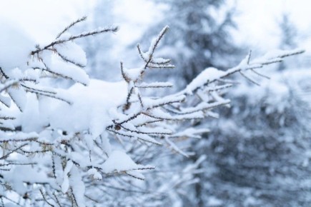 В Магадане -7