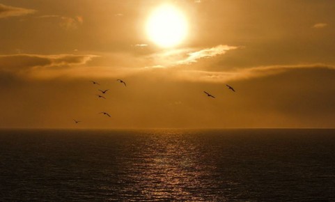 В понедельник, 8 декабря, в Магаданской области преимущественно ясно и облачно, местами снег