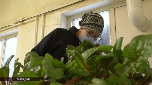 На Колыме более 400 субъектов малого и среднего бизнеса получили господдержку с начала года