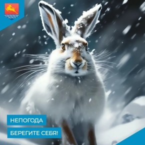 В Магадане 9 декабря ожидают метель, сильный северо-восточный ветер ночью 15-20 м/с, сообщили в ЕДДС