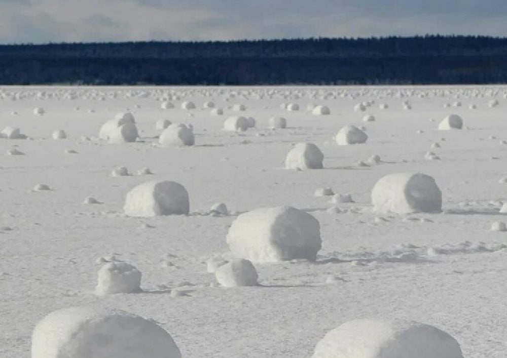 Снежные рулоны формируются сами собой на Дальнем Востоке