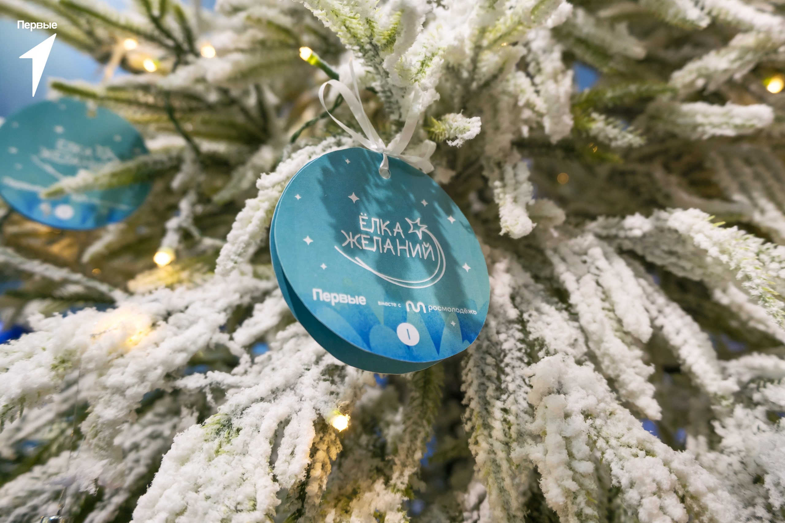 Губернатор Магаданской области Сергей Константинович Носов дал старт новогоднему волшебству в Магаданской области Губернатор Магаданской области Сергей Константинович Носов дал старт новогоднему волшебству в Магаданской области