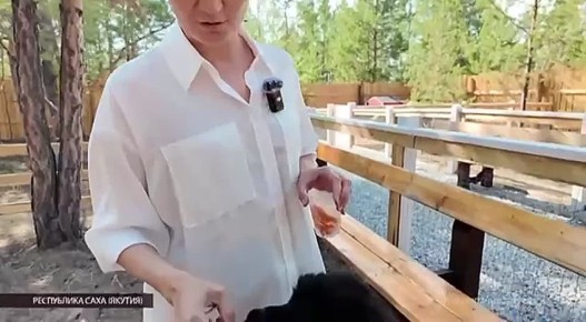 На телеканале «Колыма-Плюс» выходят репортажи других регионов Дальнего Востока