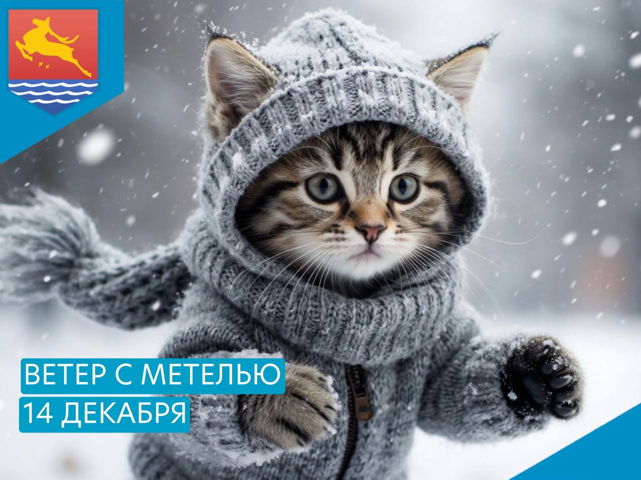 Сутки 14 декабря в Магадане ожидается юго-восточный ветер 15-20 м/с с метелью