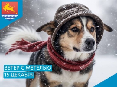 Ночью 15 декабря в Магадане ожидается юго-восточный ветер 15-20 м/с с метелью