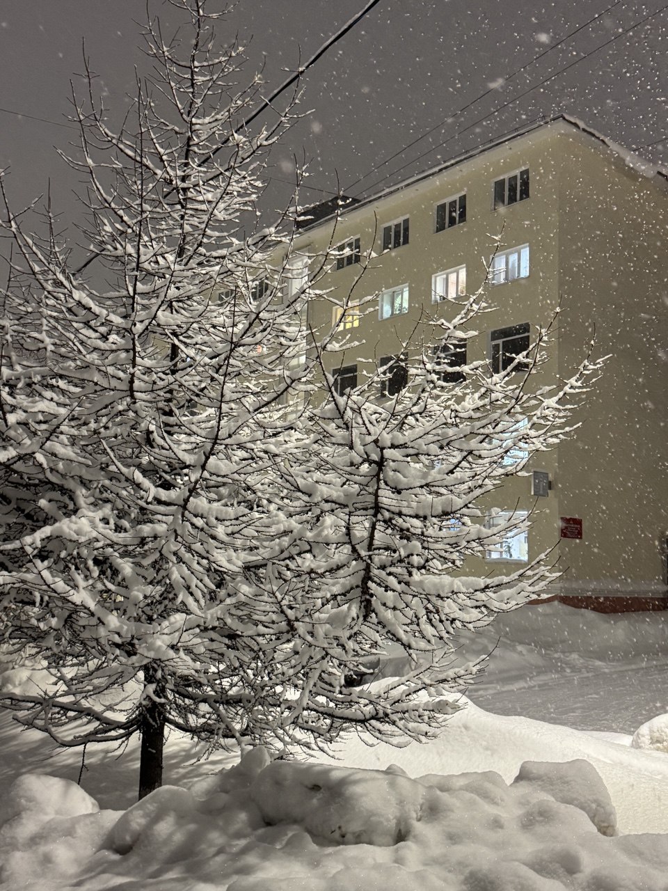 Во вторник, 16 декабря, в Магаданской области снежно и ветрено