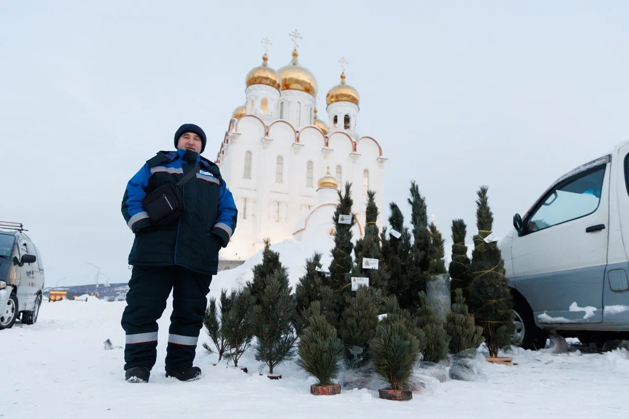 Елочный базар открылся в Магадане Елочный базар открылся в Магадане